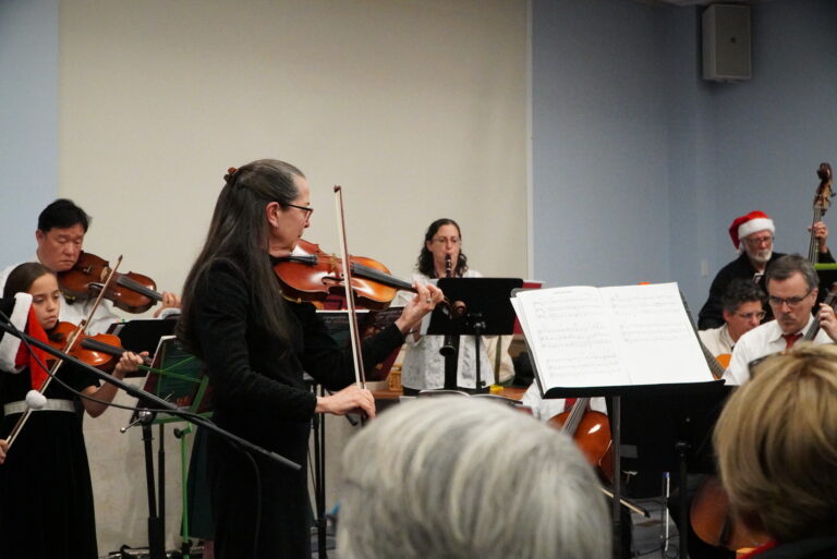 Dr. Cheryl May Strange, violinist and music educator